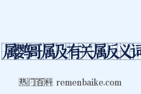 属鹦哥属及有关属反义词是什么意思的图片